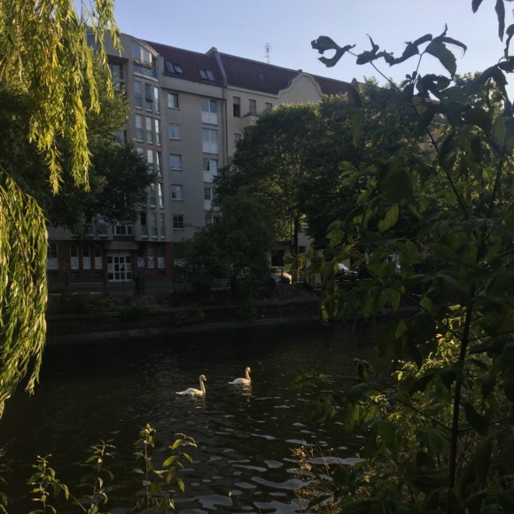 Meet your Posher, Emma - Picture 1 of 1